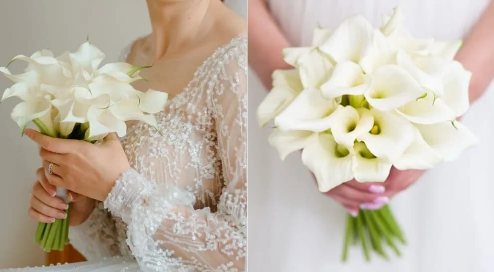 Kalie na ślub znaczenie: odkryj ich symbolikę i wyjątkowość w bukiecie